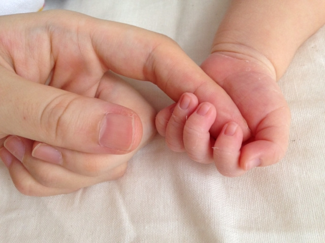 赤ちゃんの手を握る母親の手
